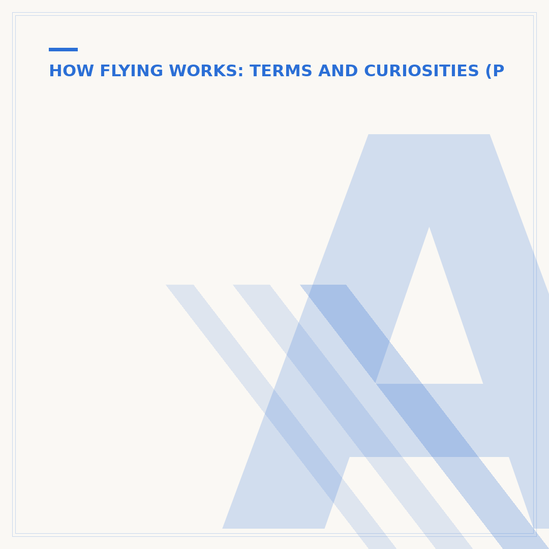 Average Speed of a Commercial Flight: Factors & Facts