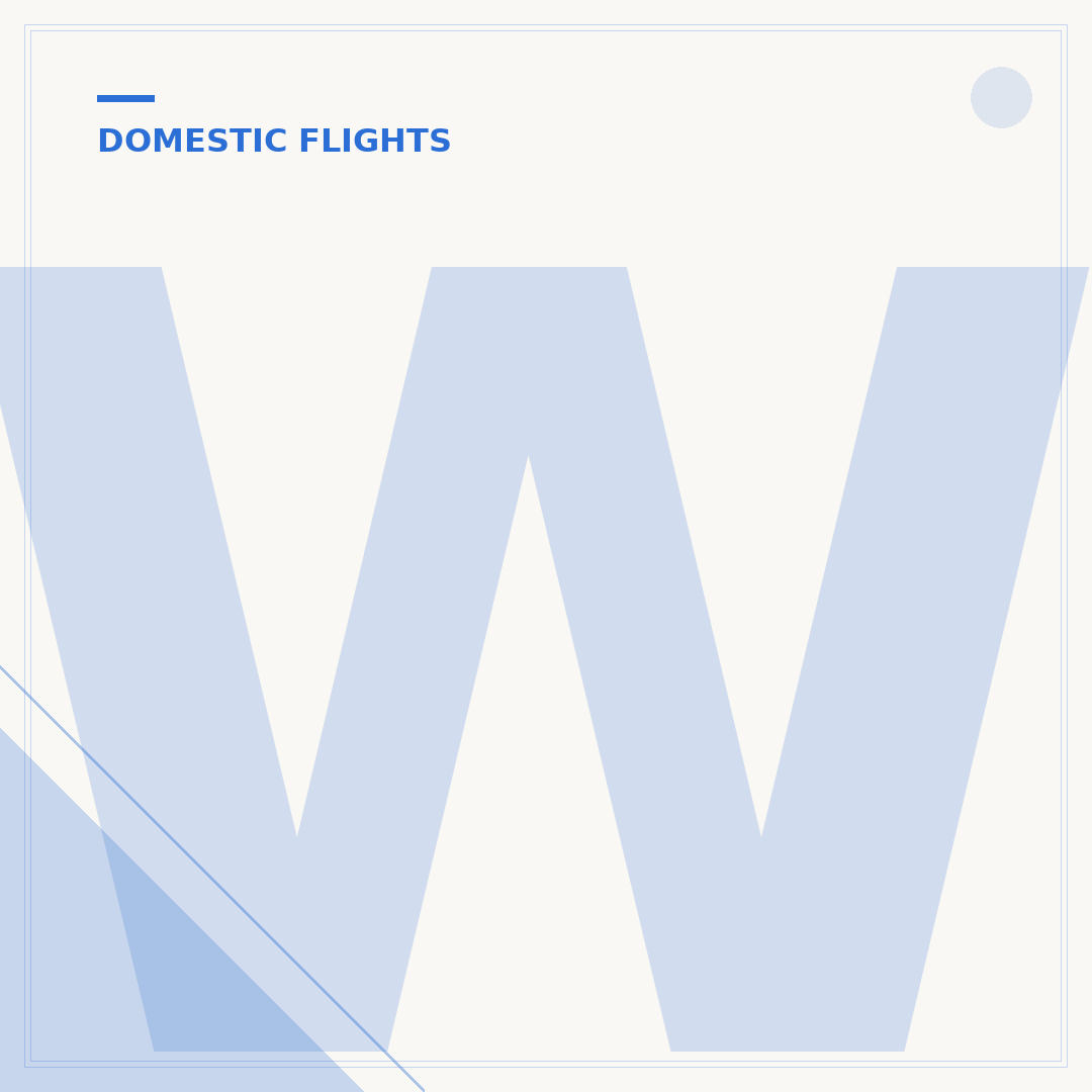 What Documents Do I Need to Take a Domestic Flight?