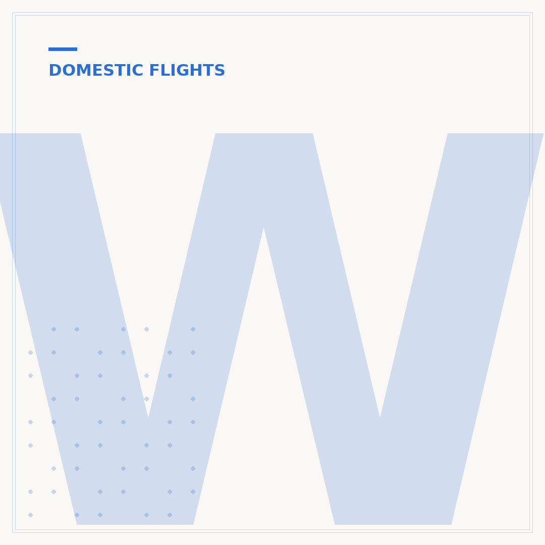 What Documents for Domestic Flight Travel?