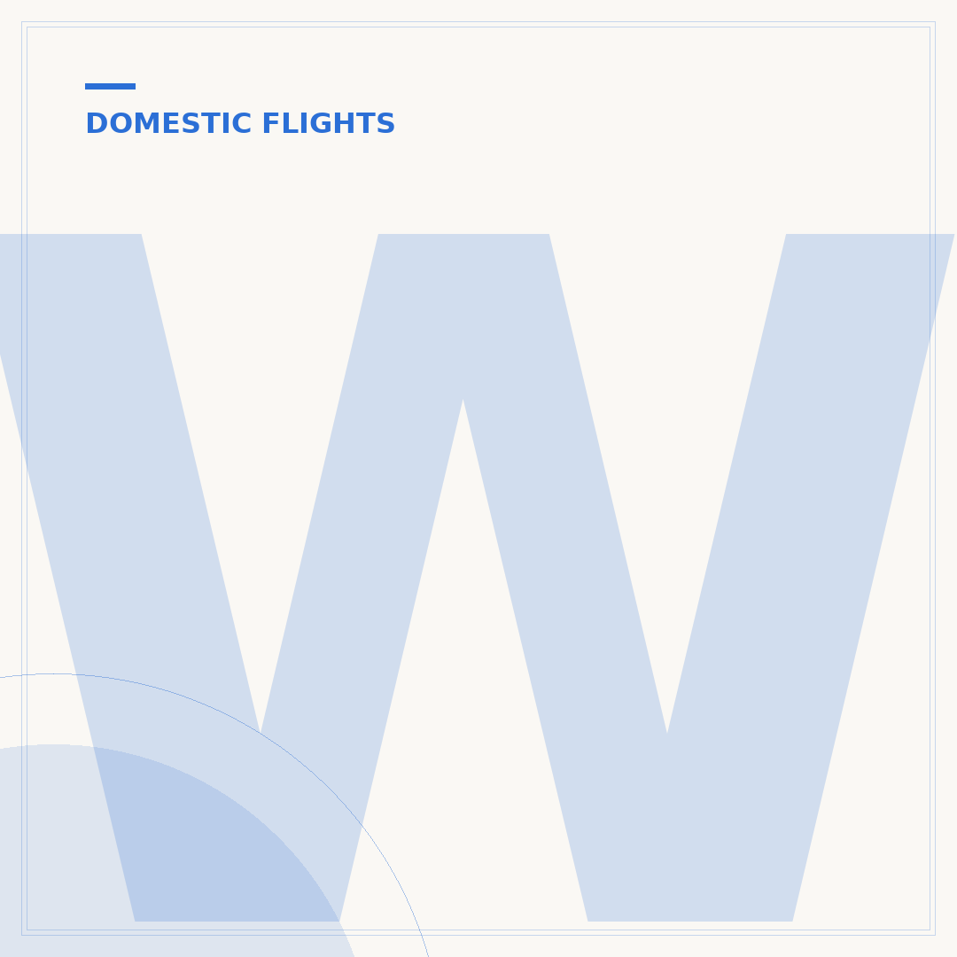 What is a Domestic Commercial Flight?