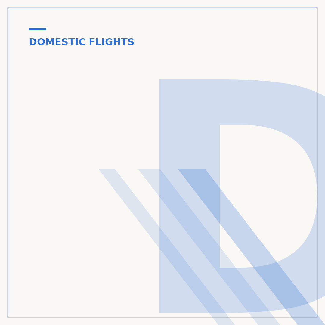 Domestic Flight Documentation: What You Need to Know