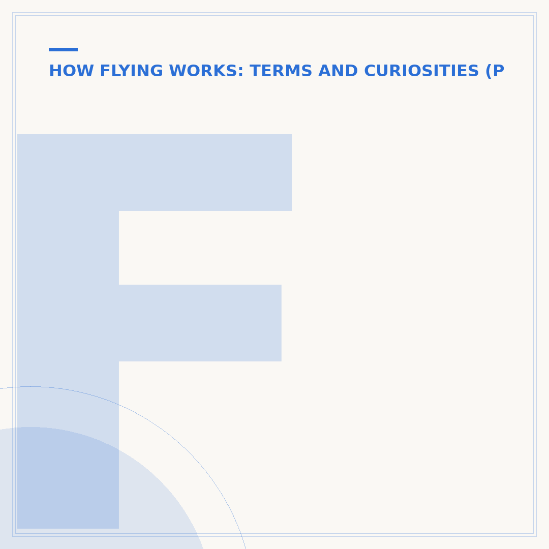 Flight Disrupted: What It Means and What to Do