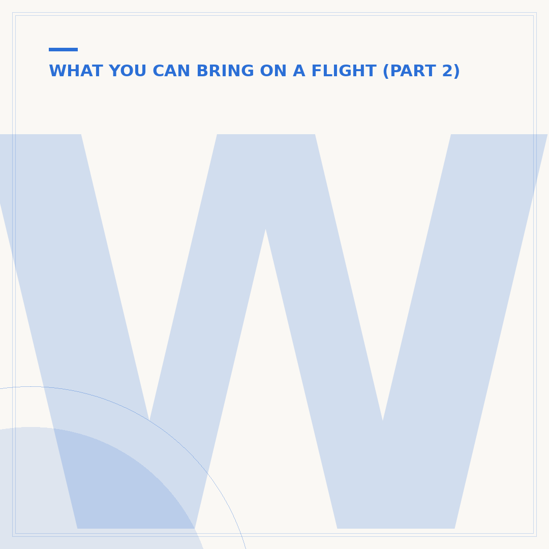 What Can We Carry in Hand Luggage for International Flights?