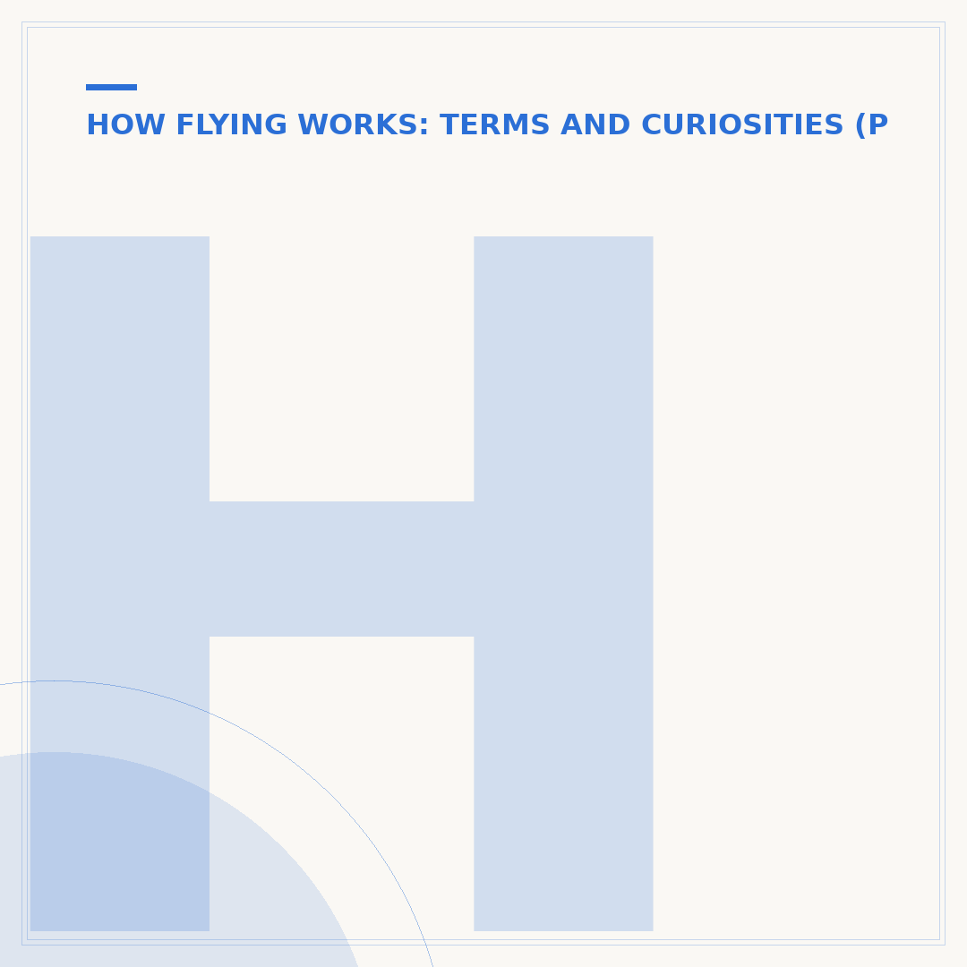 How Wing Shape Affects Flight Performance