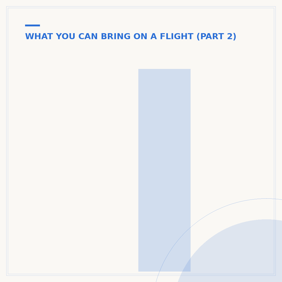 Items Forbidden on Flights: What You Cannot Bring