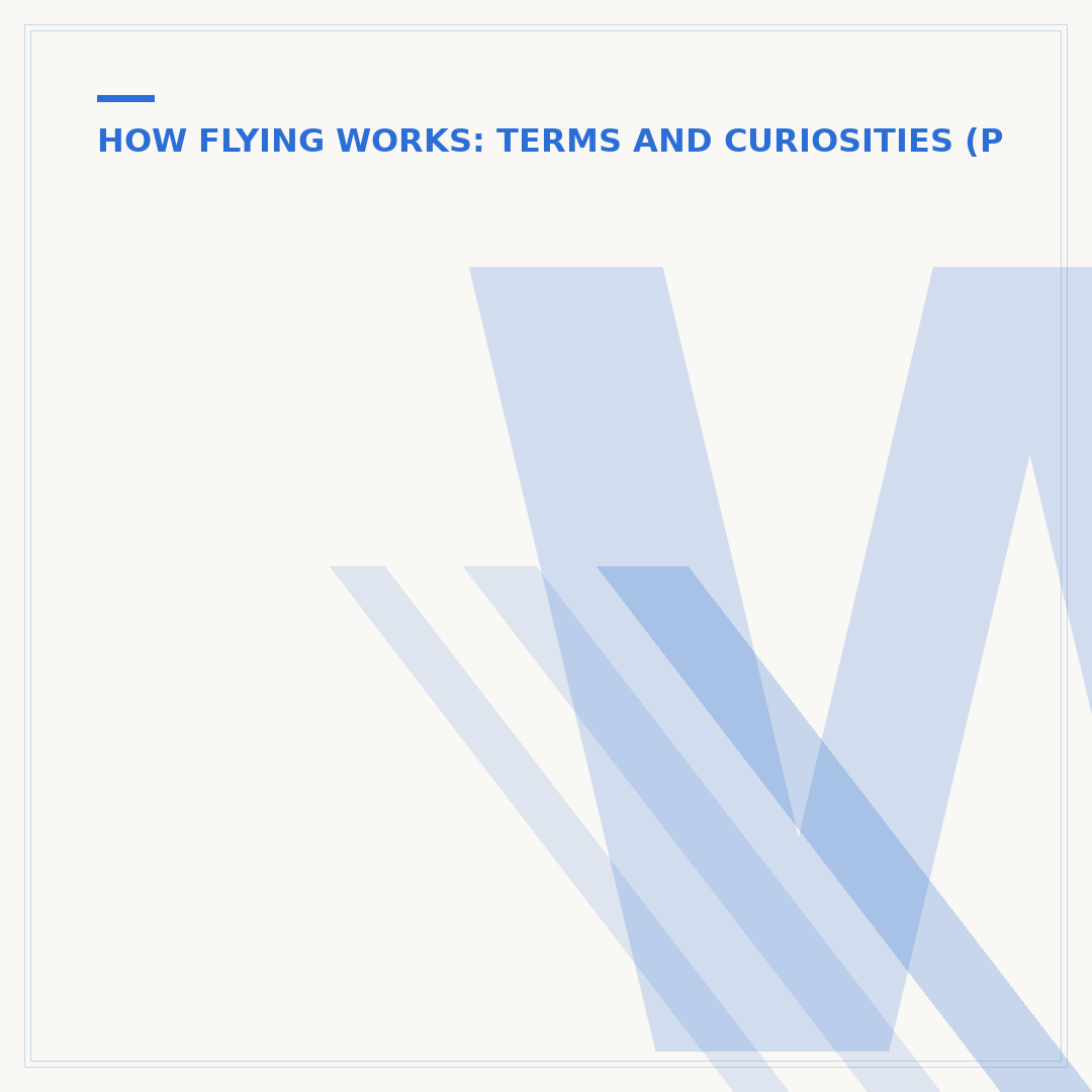 What Is a Non Changeable Flight? Your Booking Explained