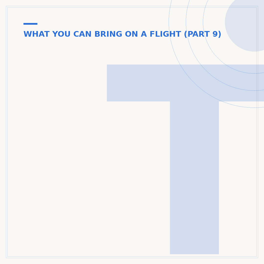 Things You Can Take on a Flight
