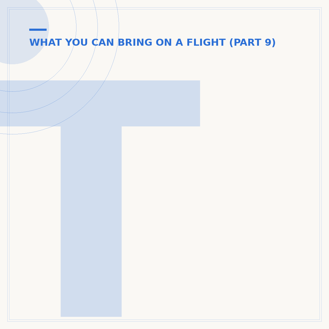 Things We Can Take in Flight