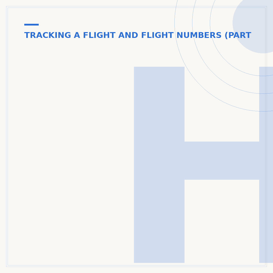How to Track an AA Flight