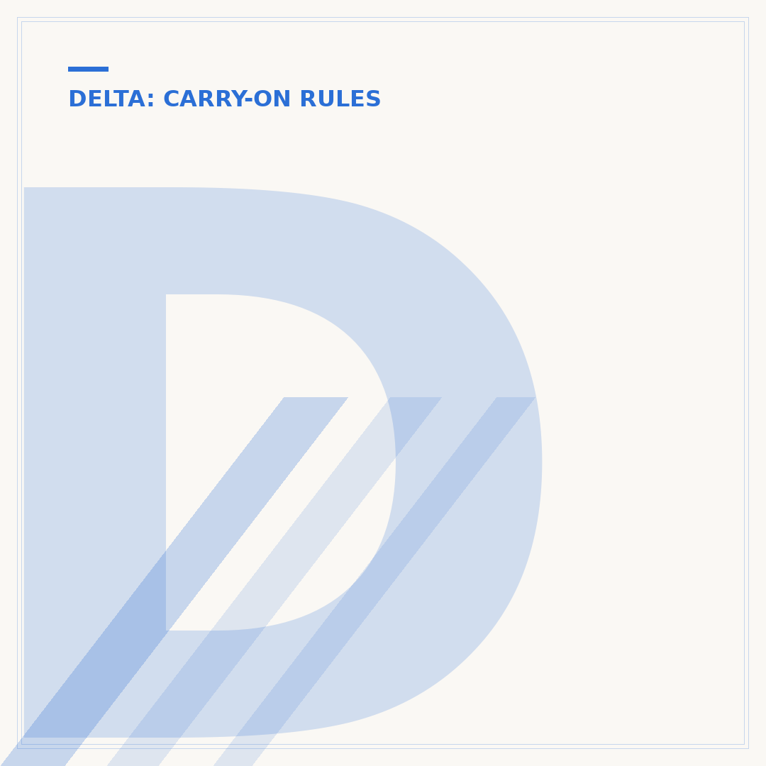 Delta Flight Carry-On: What Can You Bring Aboard?
