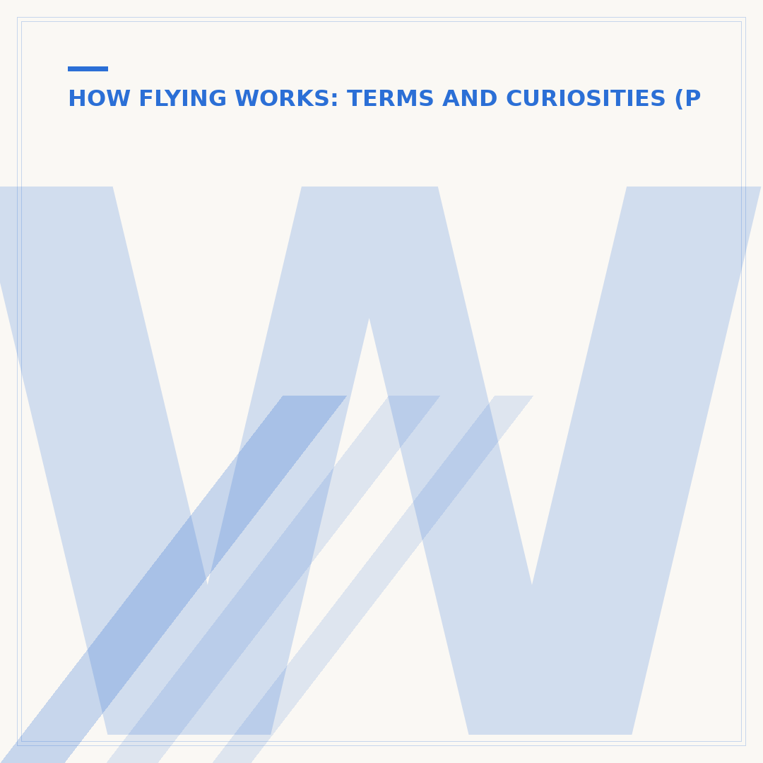 What is Delta Flight Fuel?