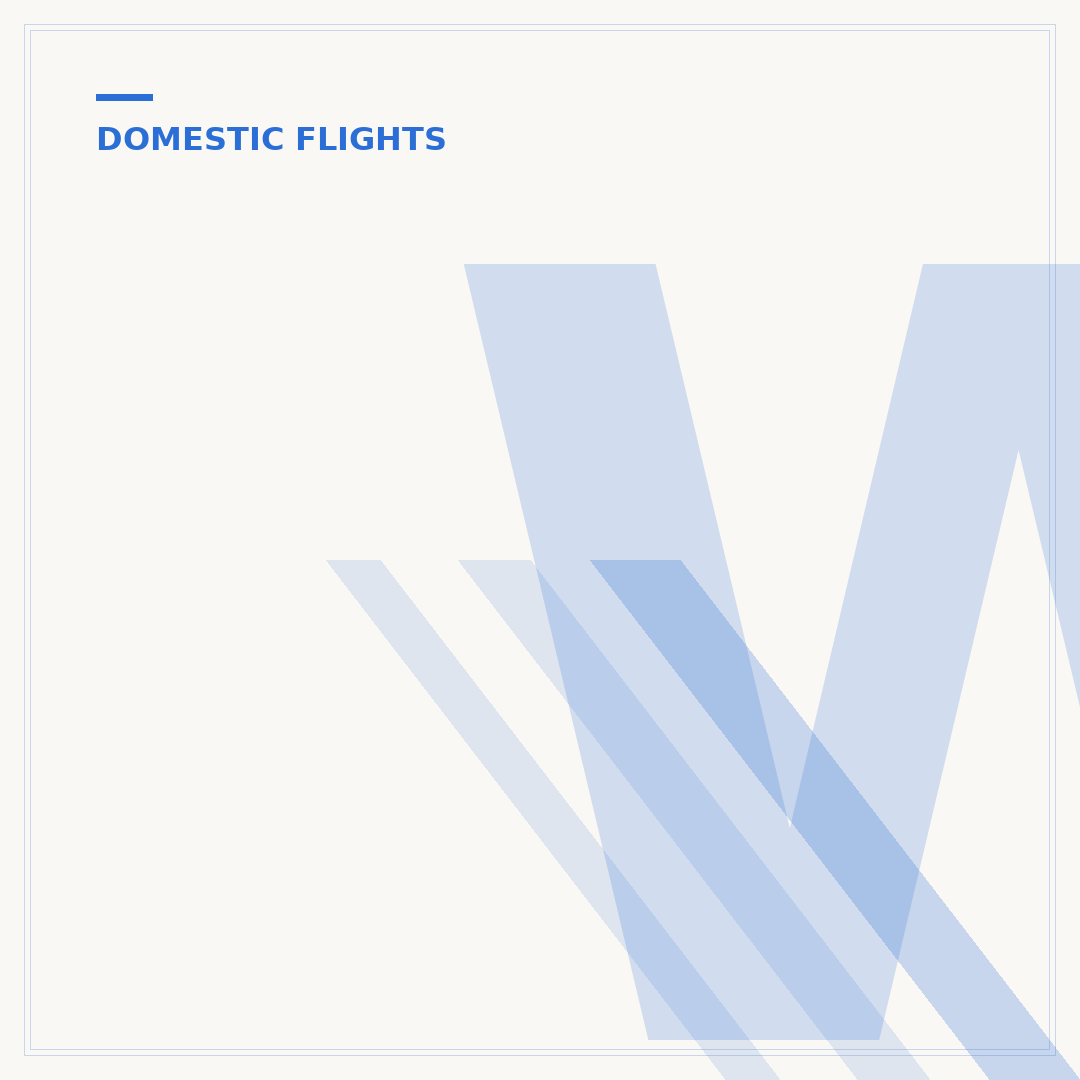 What Is a Domestic Flight?