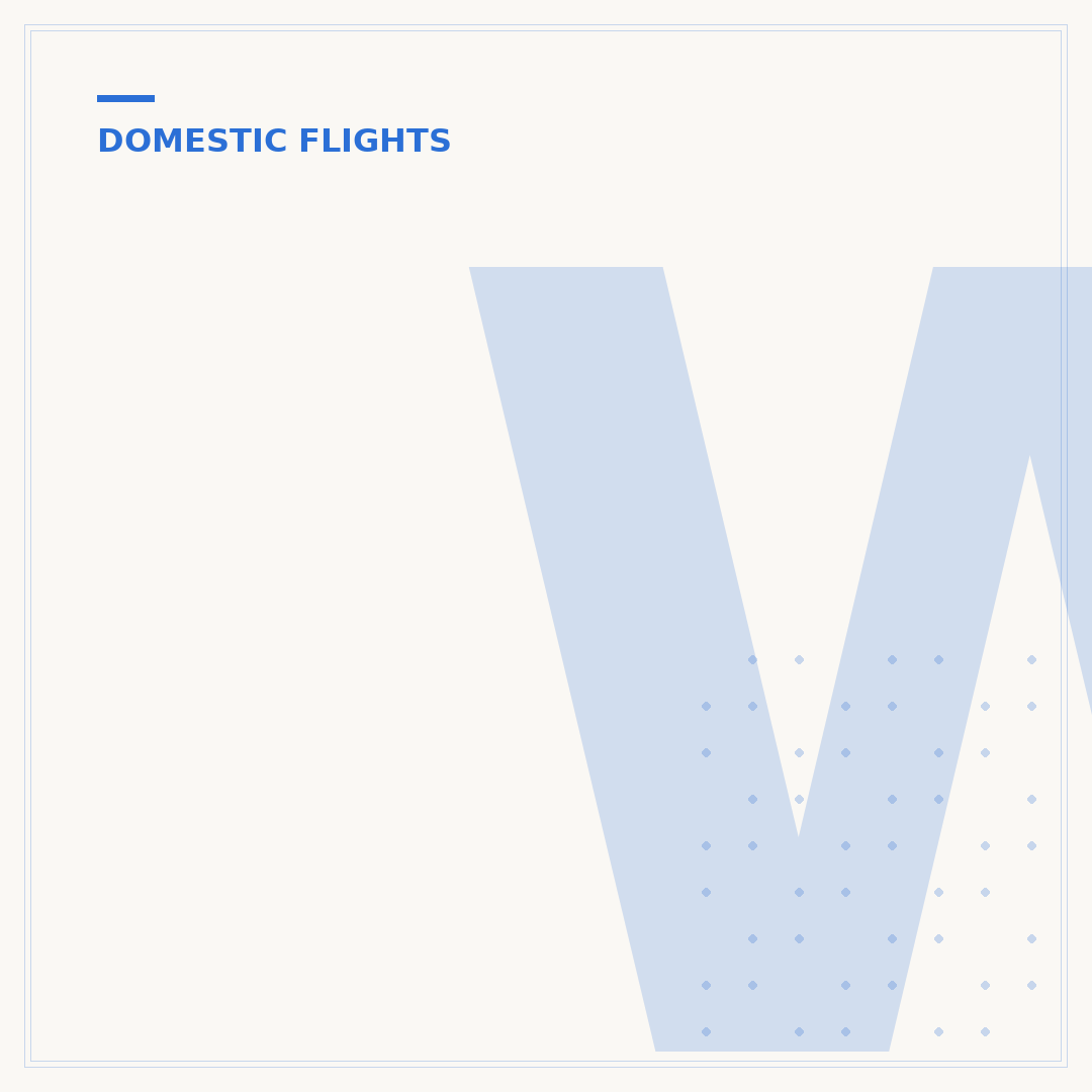 What Do I Need to Travel on a Domestic Flight?