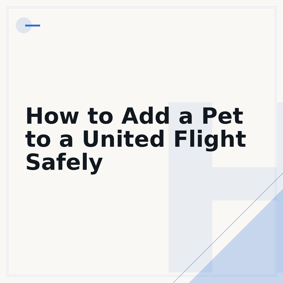 How to Add a Pet to a United Flight Safely