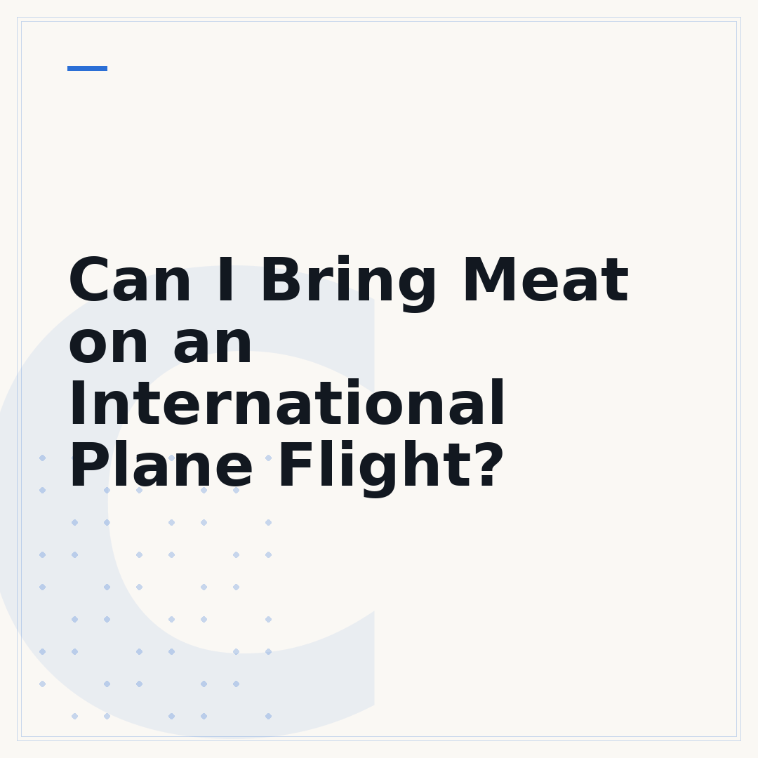 Can I Bring Meat on an International Plane Flight?