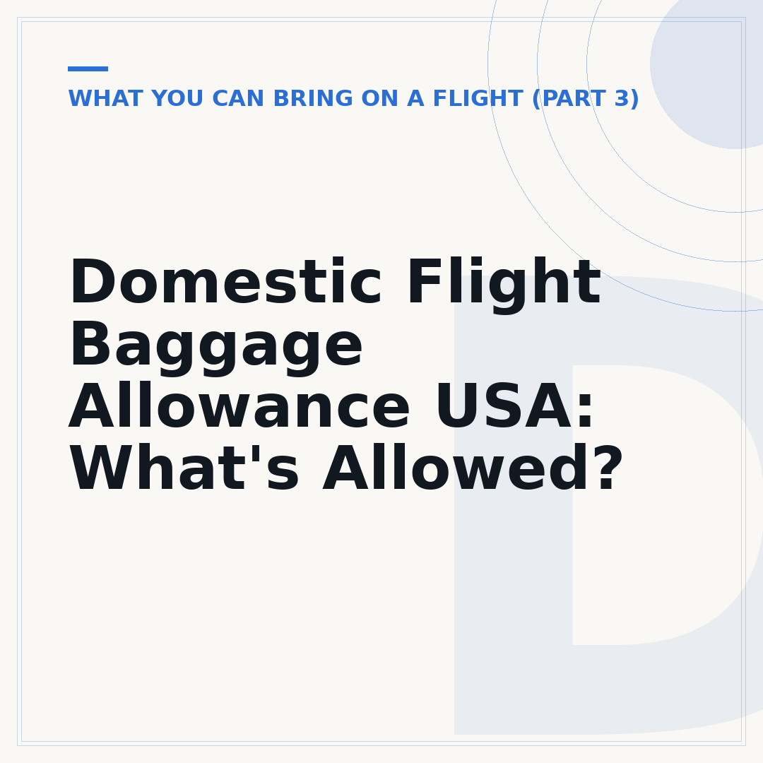 Domestic Flight Baggage Allowance USA: What's Allowed?