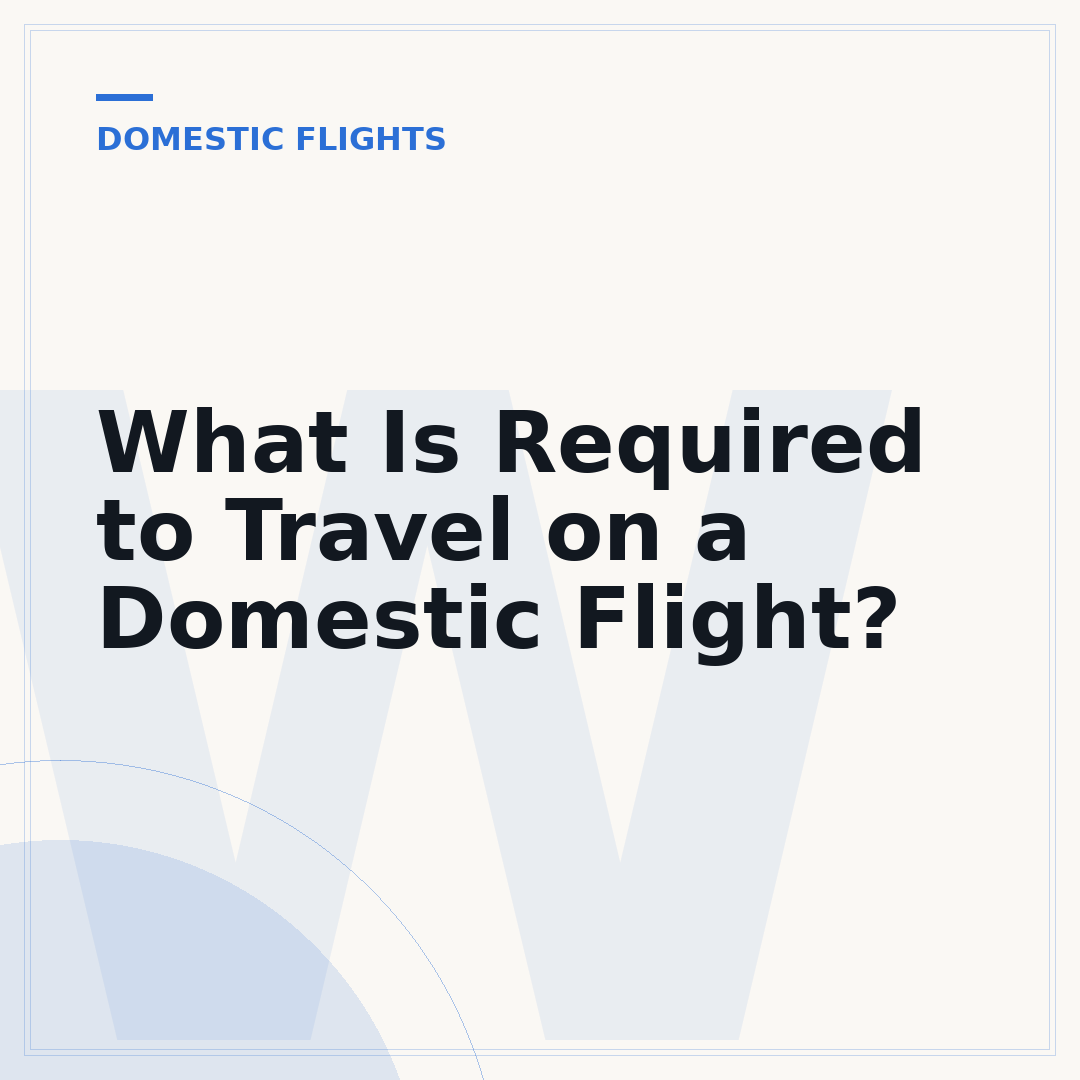 What Is Required to Travel on a Domestic Flight?