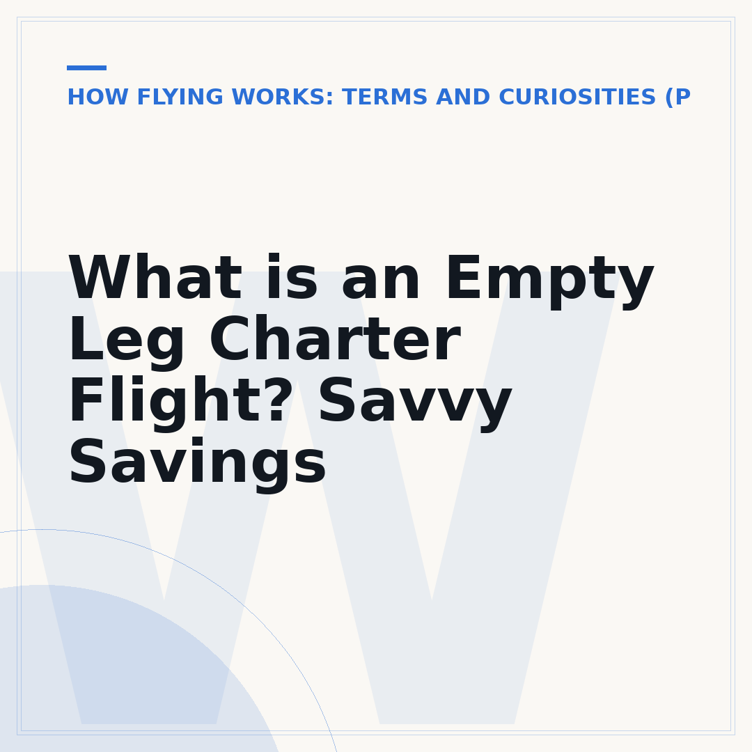 What is an Empty Leg Charter Flight? Savvy Savings
