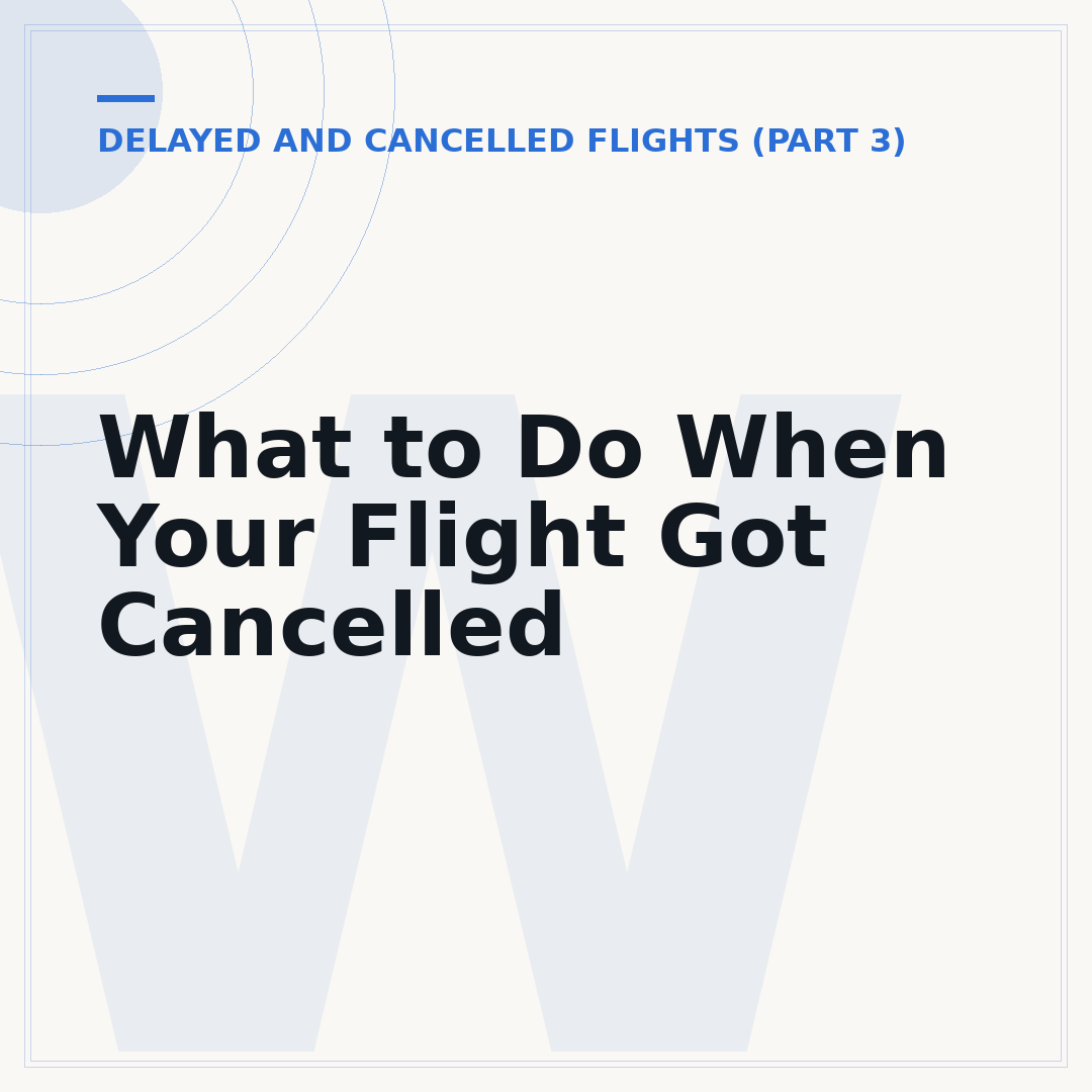 What to Do When Your Flight Got Cancelled