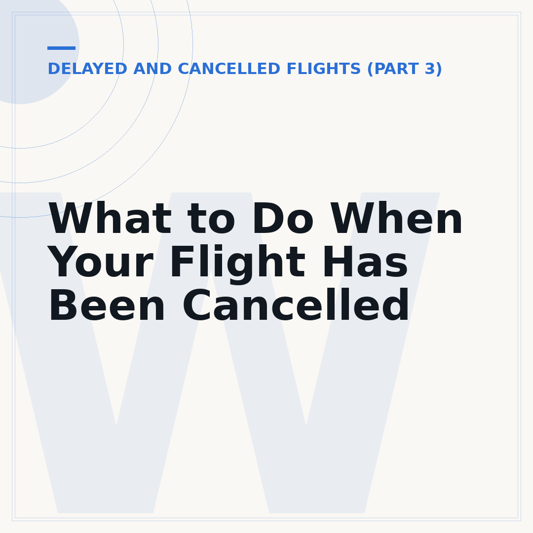 What to Do When Your Flight Has Been Cancelled