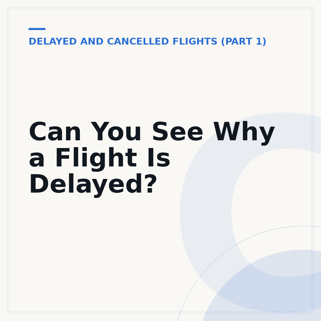 Can You See Why a Flight Is Delayed?