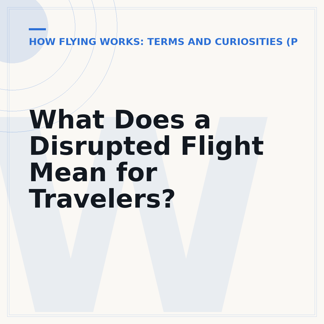 What Does a Disrupted Flight Mean for Travelers?