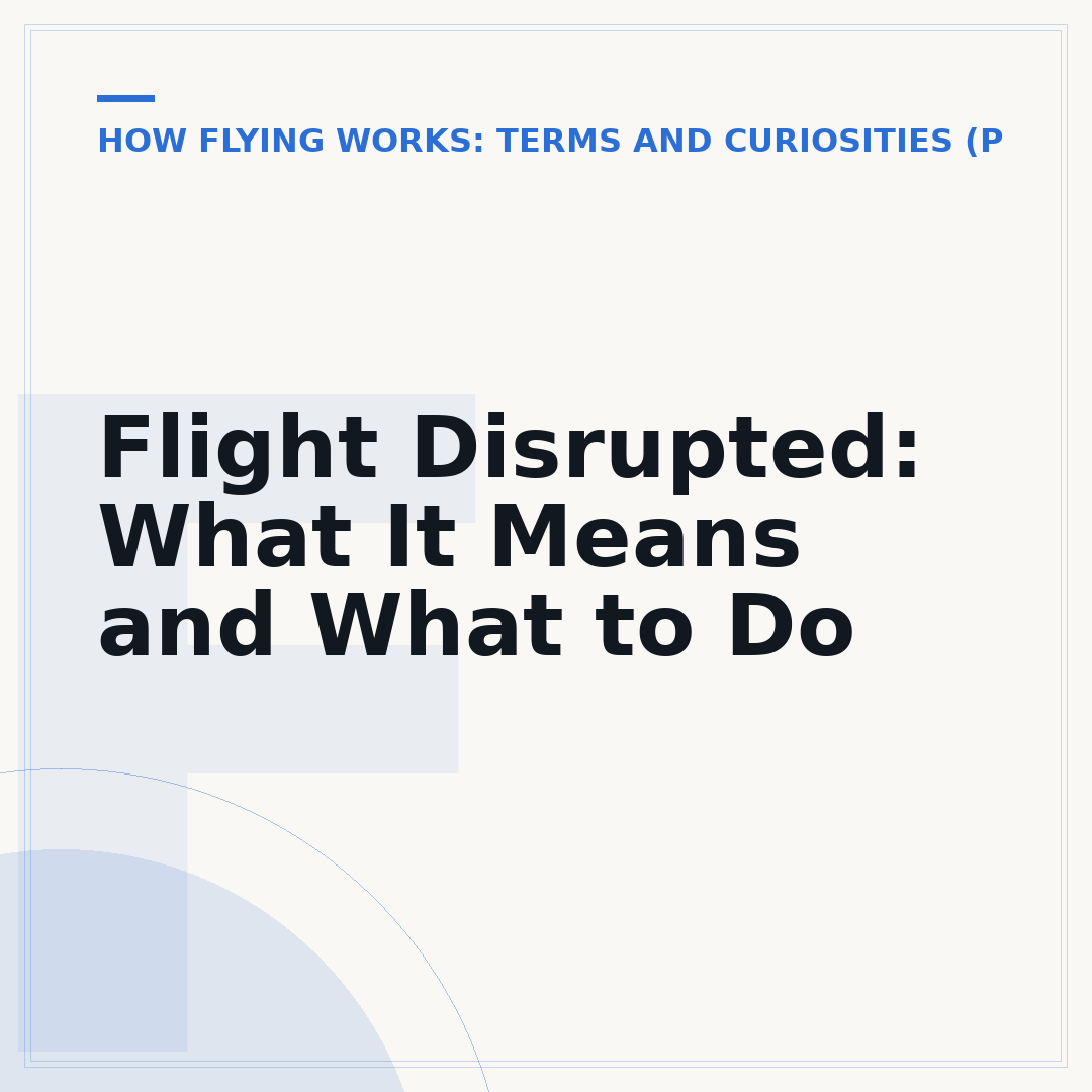 Flight Disrupted: What It Means and What to Do