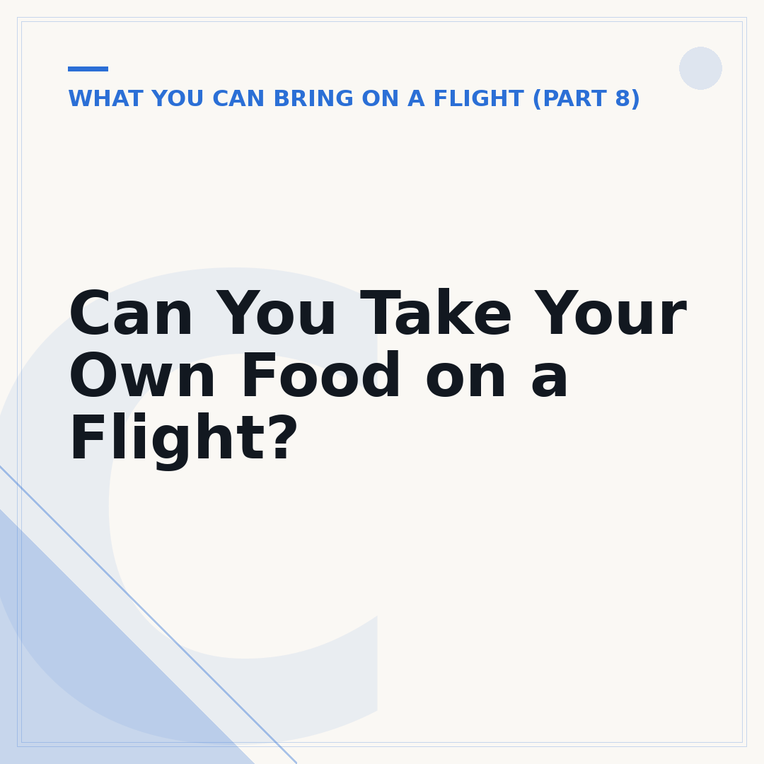 Can You Take Your Own Food on a Flight?