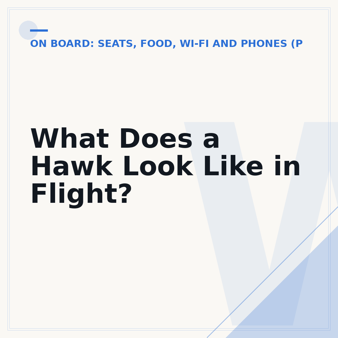 What Does a Hawk Look Like in Flight?