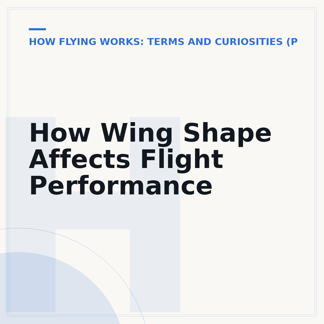 How Wing Shape Affects Flight Performance
