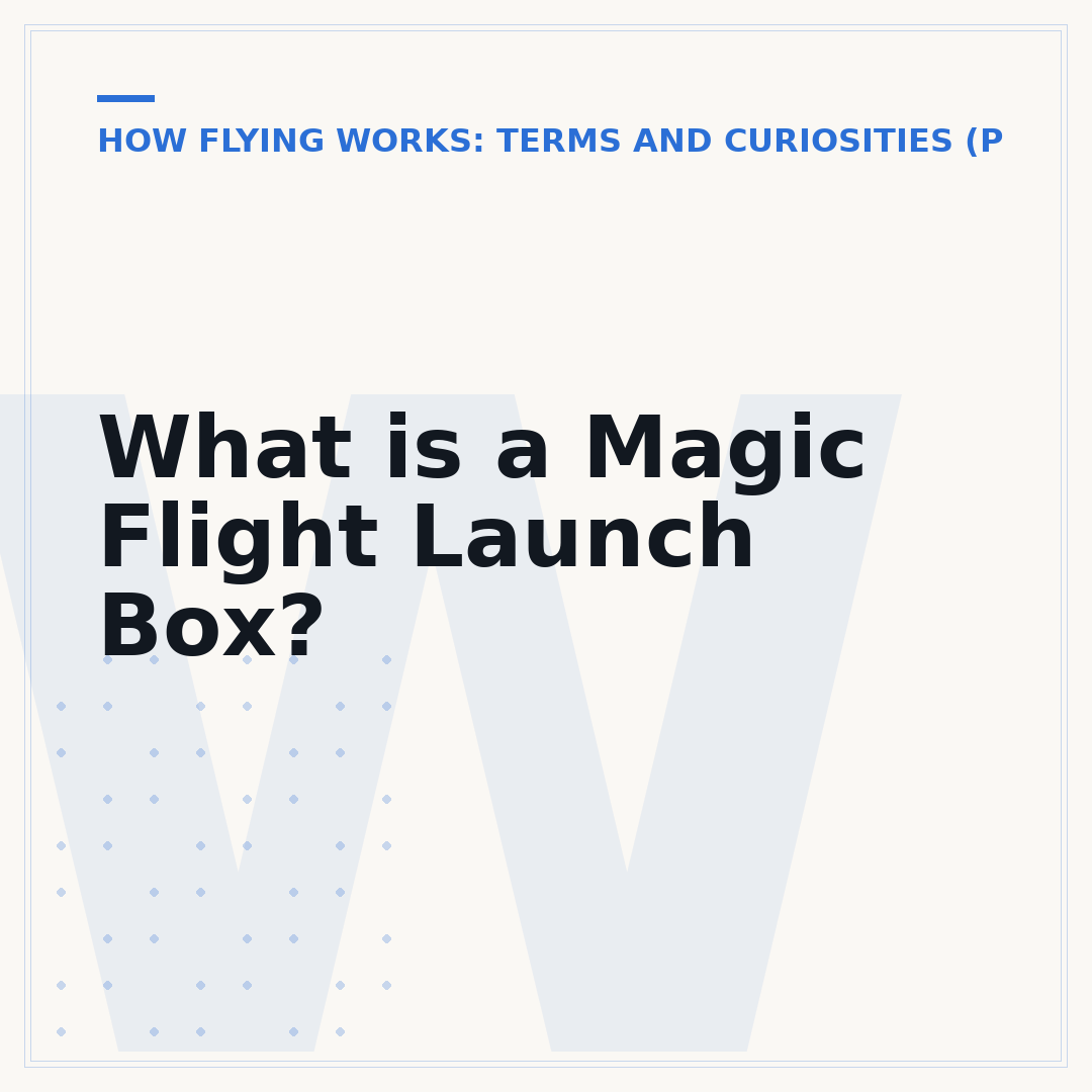What is a Magic Flight Launch Box?