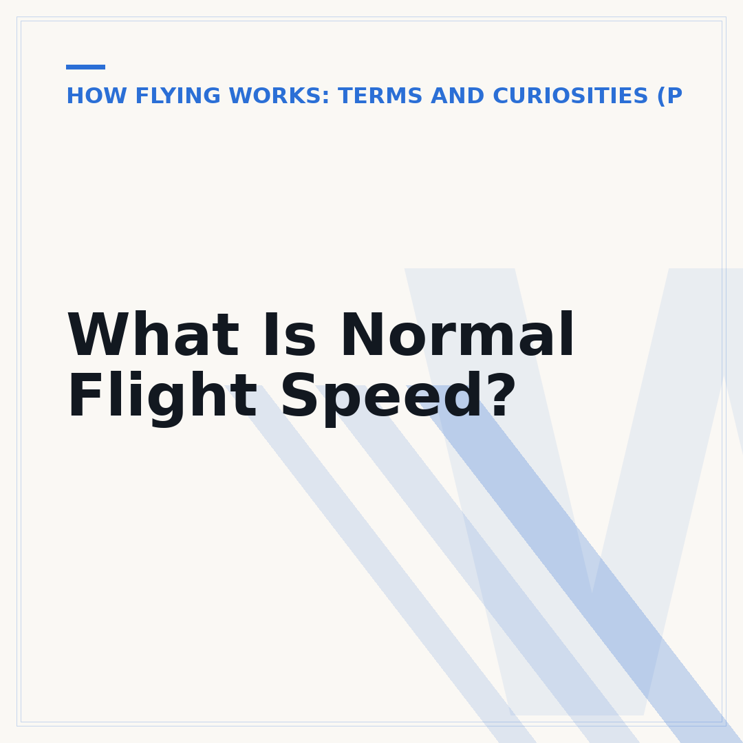 What Is Normal Flight Speed?