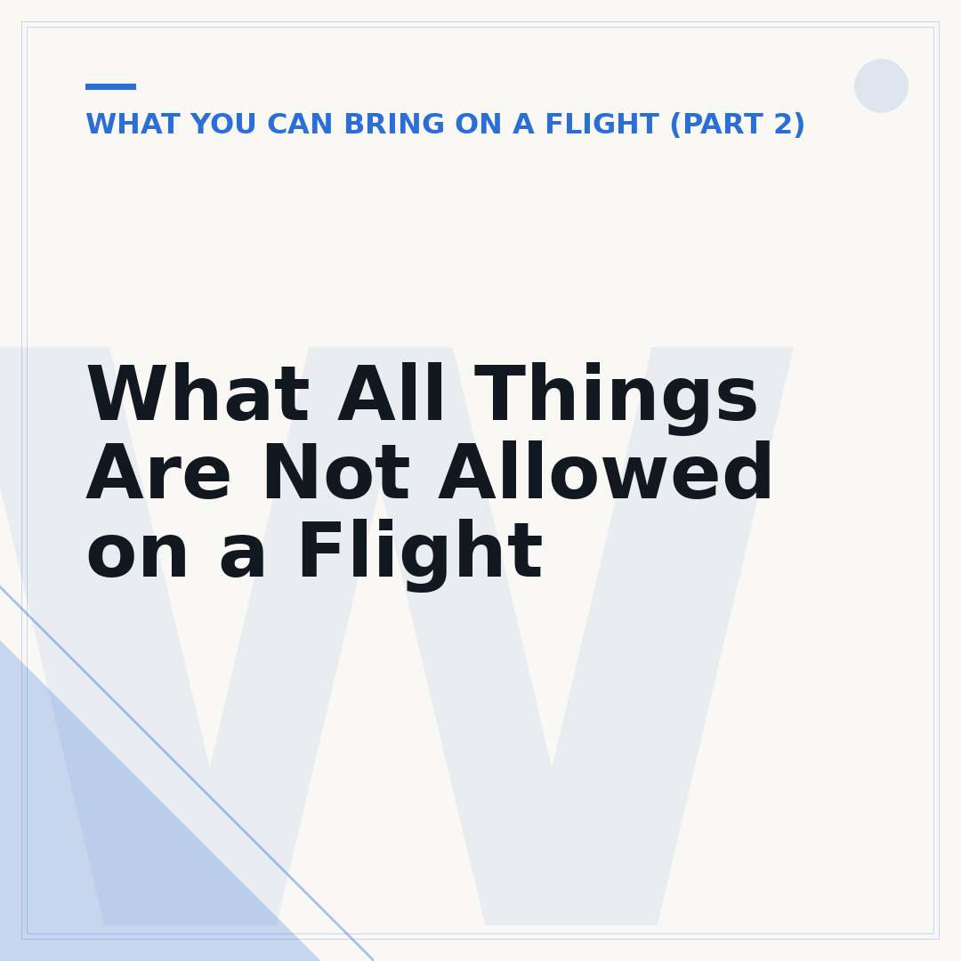 What All Things Are Not Allowed on a Flight