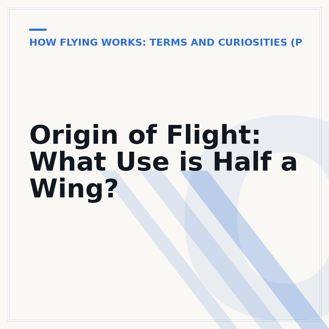 Origin of Flight: What Use is Half a Wing?
