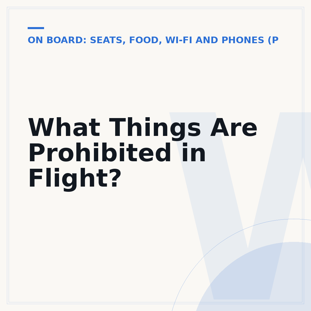 What Things Are Prohibited in Flight?