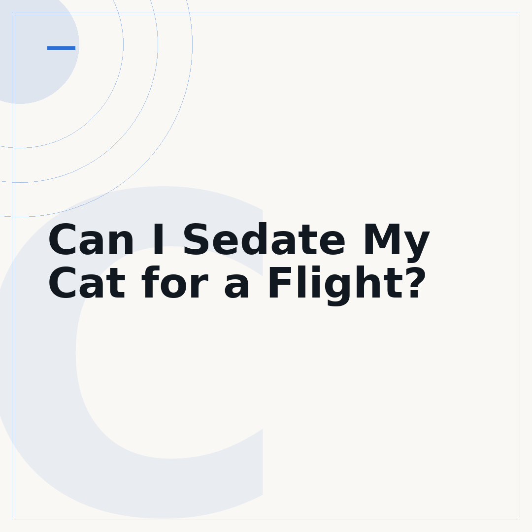 Can I Sedate My Cat for a Flight?