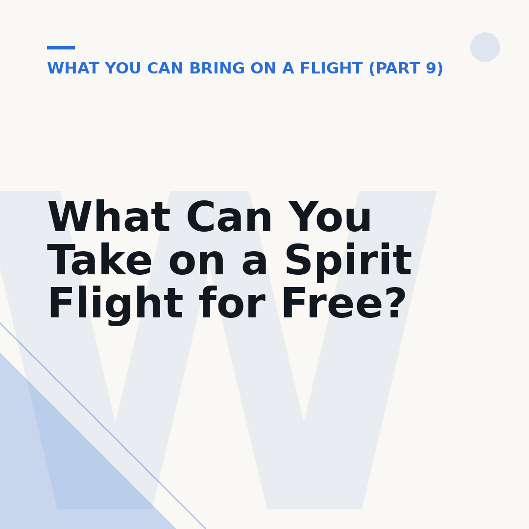 What Can You Take on a Spirit Flight for Free?