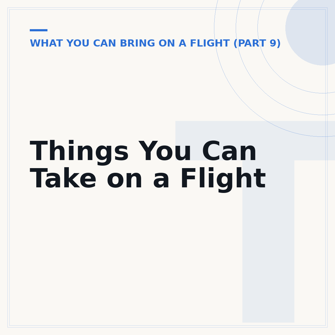 Things You Can Take on a Flight