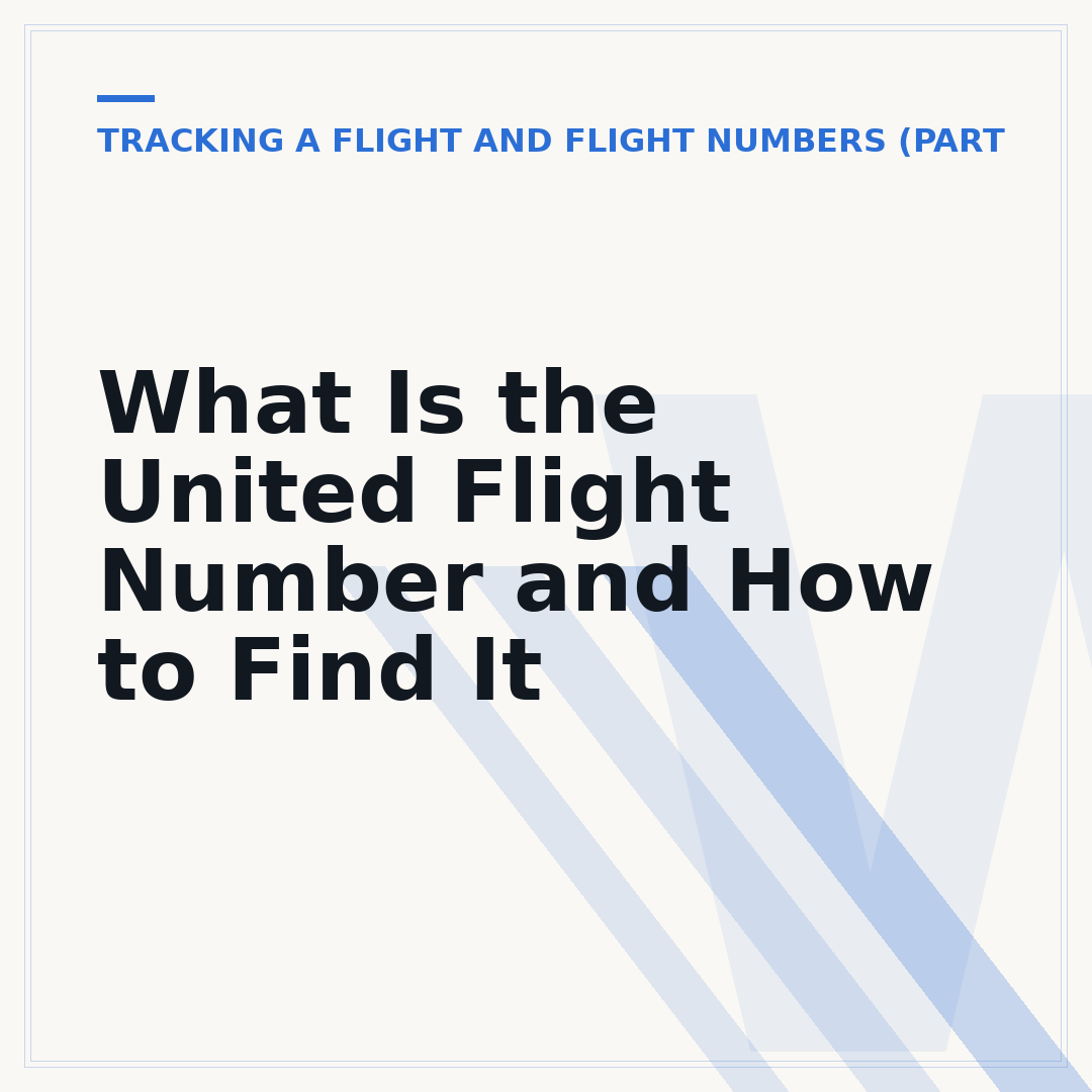 What Is the United Flight Number and How to Find It