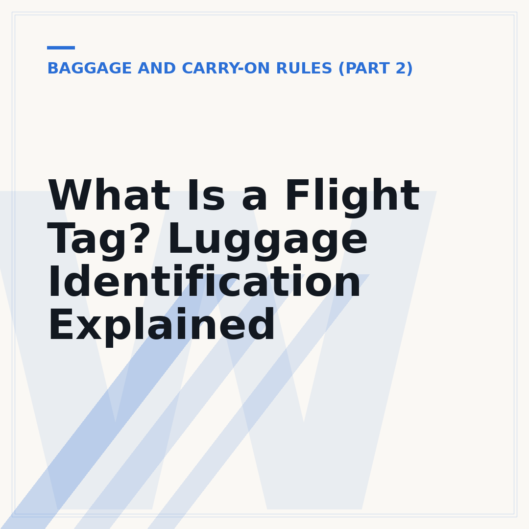 What Is a Flight Tag? Luggage Identification Explained