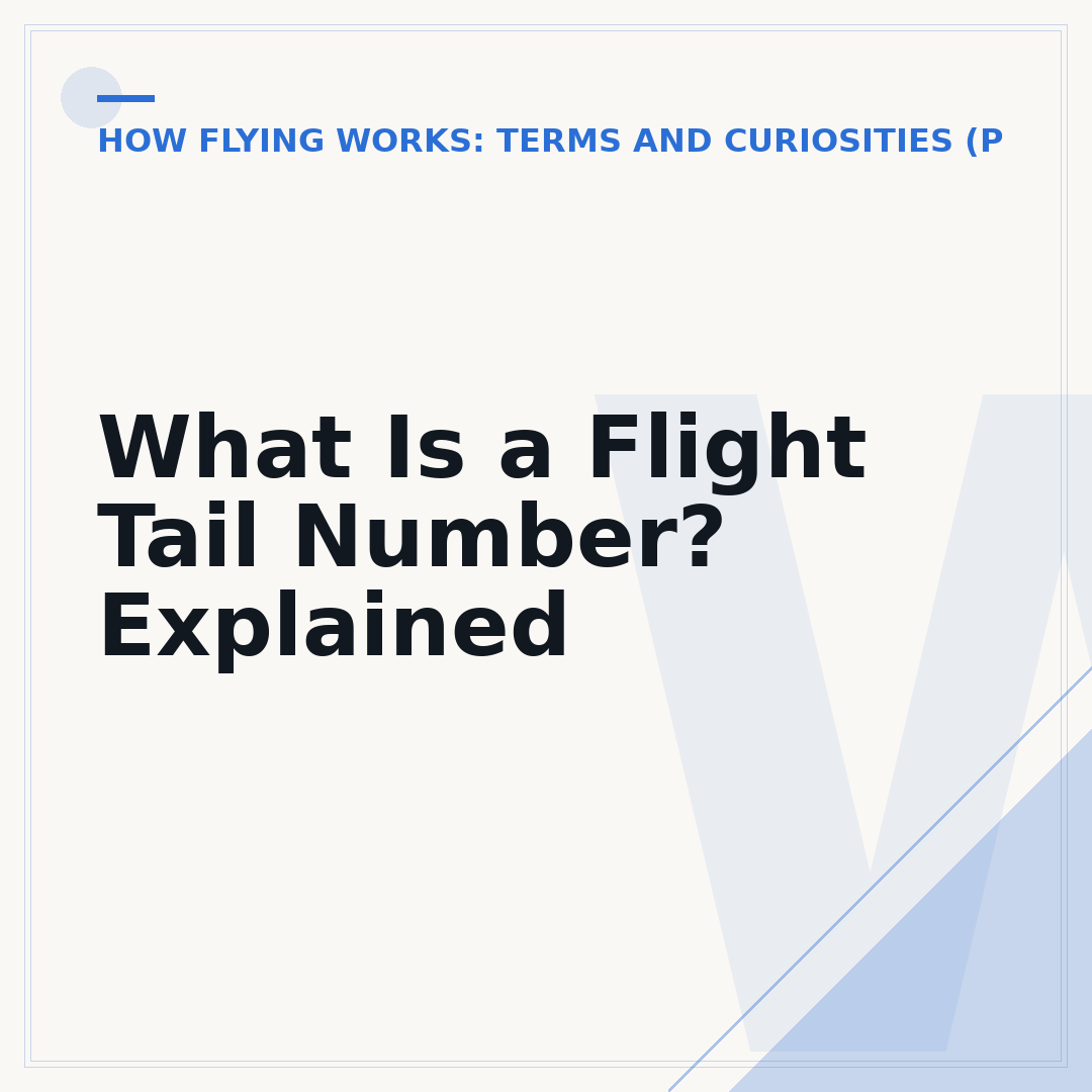 What Is a Flight Tail Number? Explained