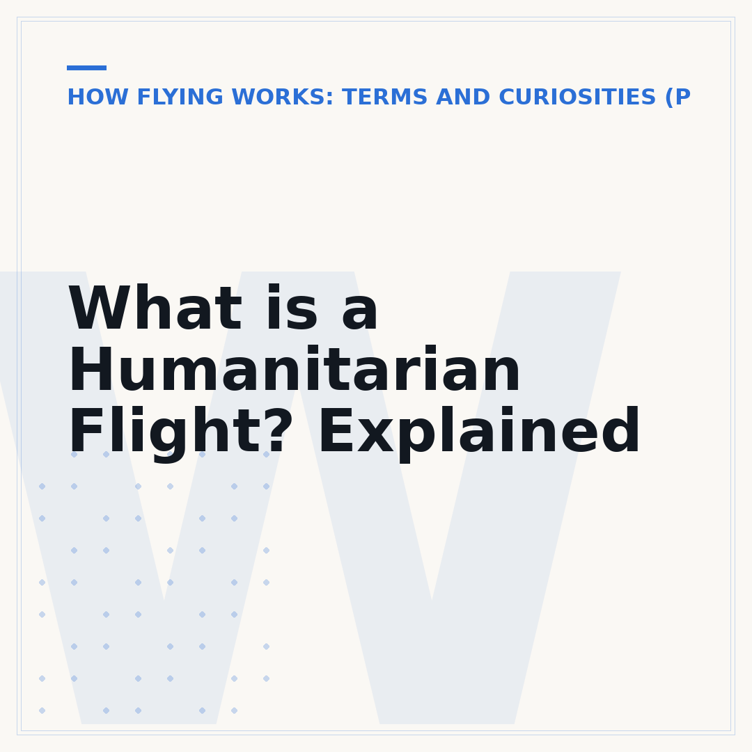 What is a Humanitarian Flight? Explained