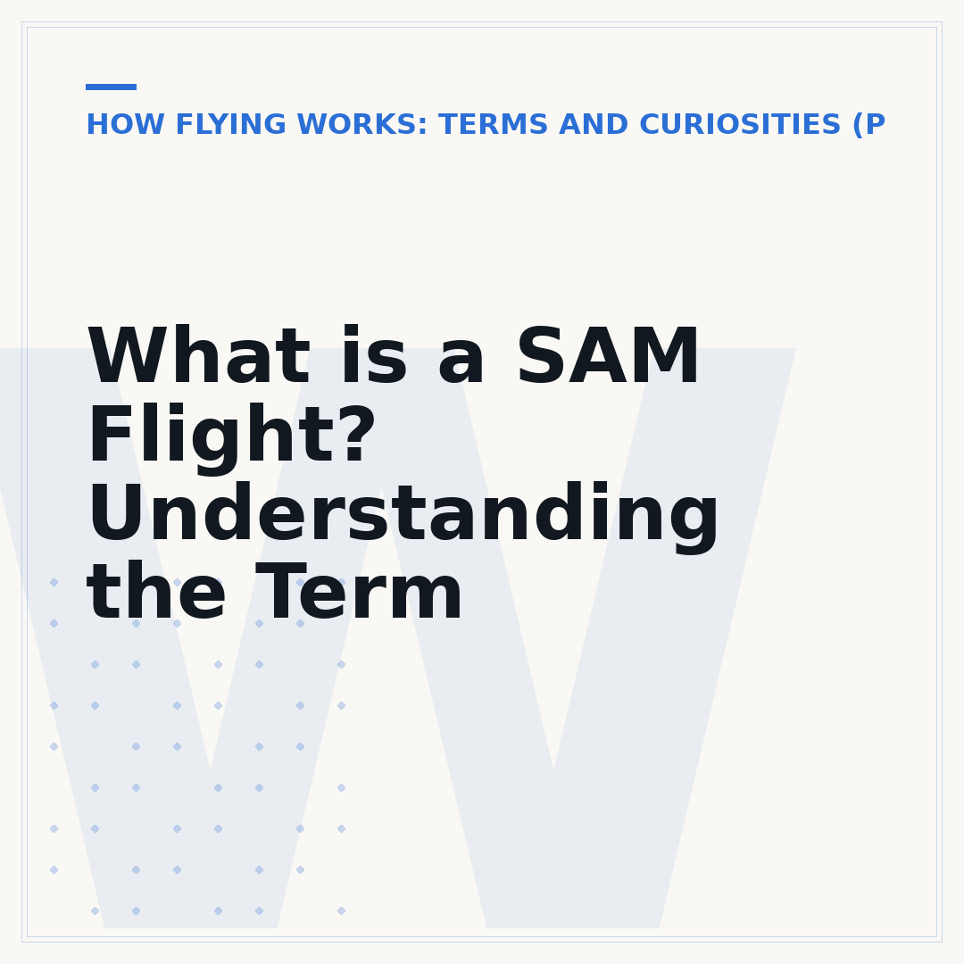 What is a SAM Flight? Understanding the Term