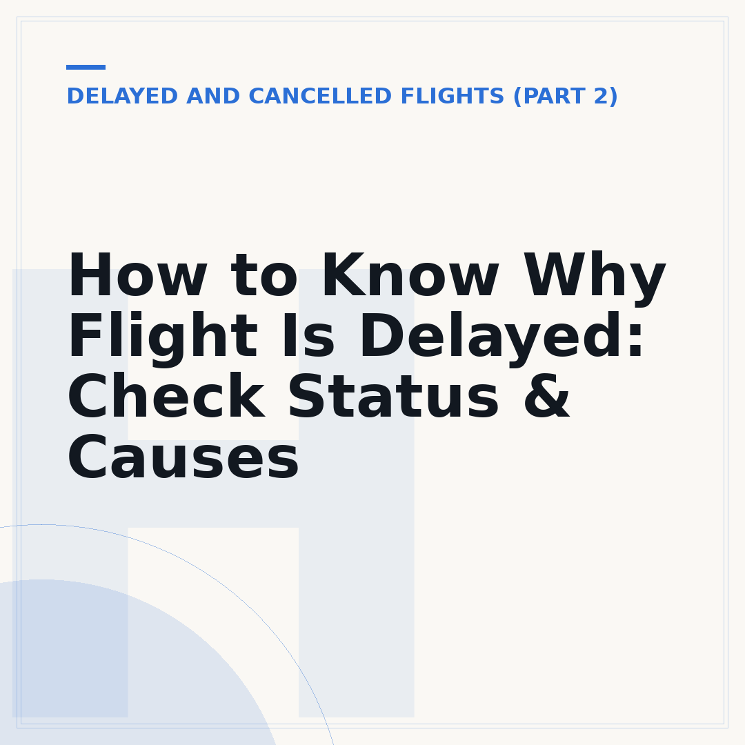 How to Know Why Flight Is Delayed: Check Status & Causes