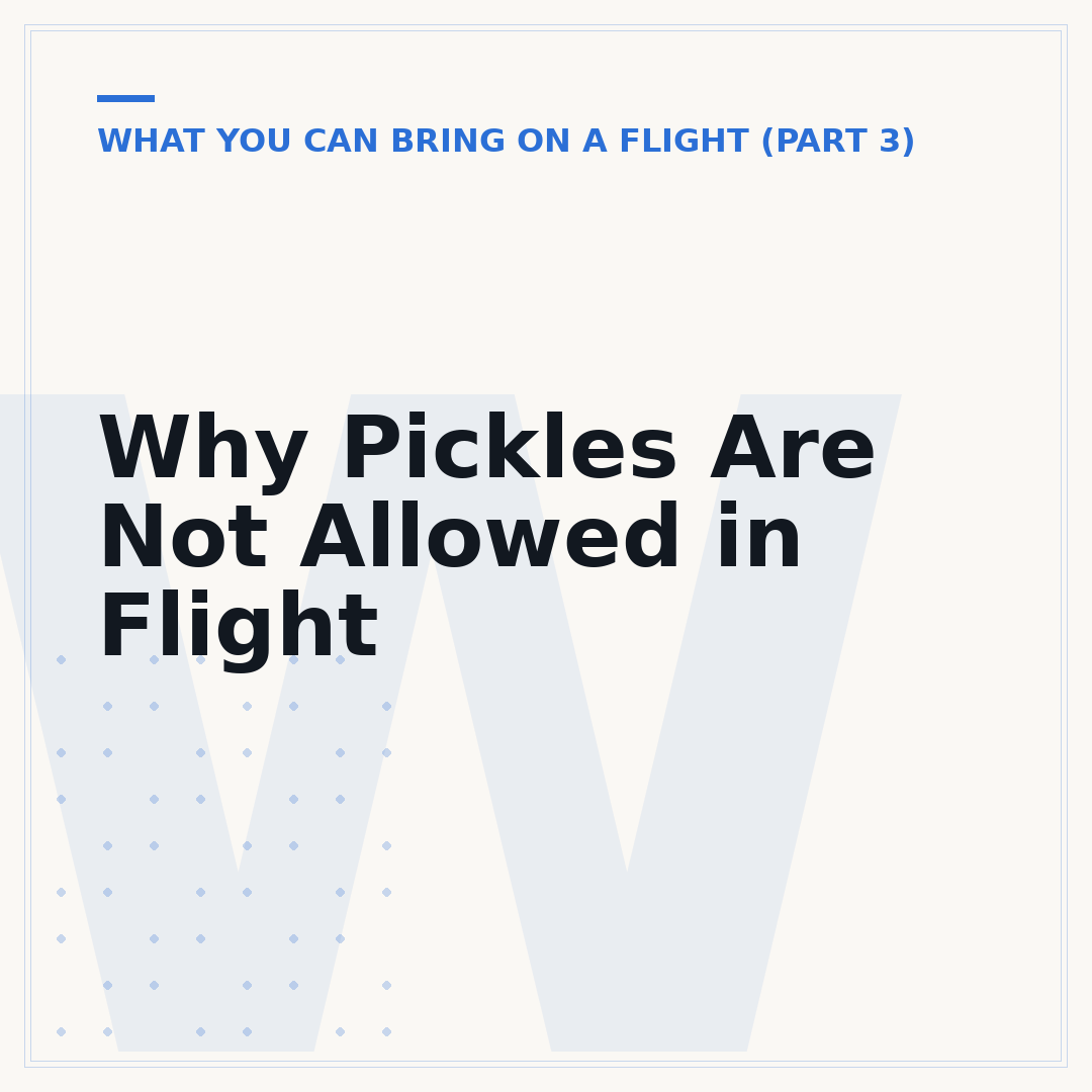 Why Pickles Are Not Allowed in Flight