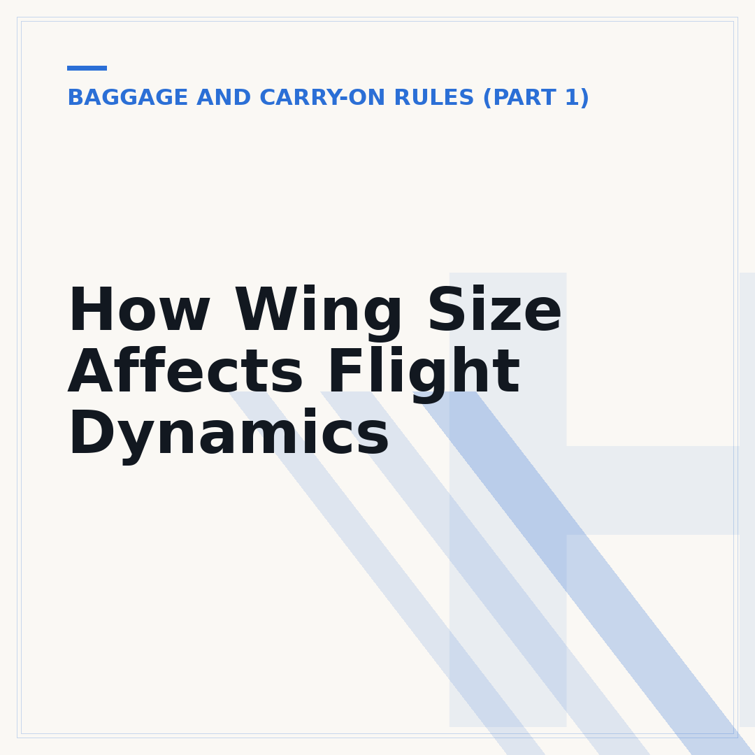 How Wing Size Affects Flight Dynamics